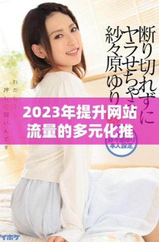 2023年提升網站流量的多元化推廣渠道介紹與應用技巧