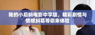 我的小后媽電影中字版，精彩劇情與情感糾葛等你來體驗
