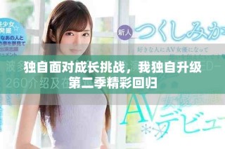 獨自面對成長挑戰，我獨自升級第二季精彩回歸