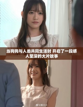 當(dāng)狗狗與人類(lèi)共同生活時(shí) 開(kāi)啟了一段感人至深的大片故事