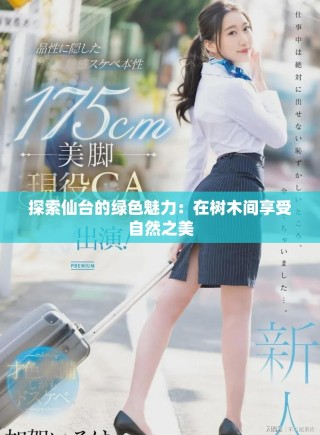 探索仙臺的綠色魅力：在樹木間享受自然之美