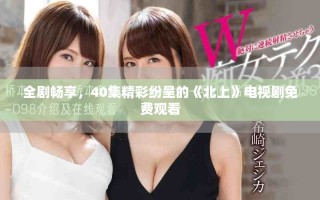 全劇暢享，40集精彩紛呈的《北上》電視劇免費觀看