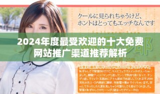 2024年度最受歡迎的十大免費網(wǎng)站推廣渠道推薦解析