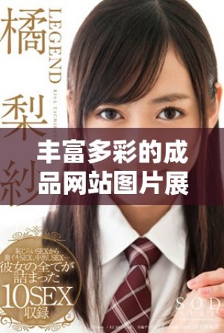 豐富多彩的成品網站圖片展示與畫圖技巧分享