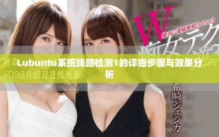 Lubuntu系統(tǒng)線路檢測1的詳細步驟與效果分析