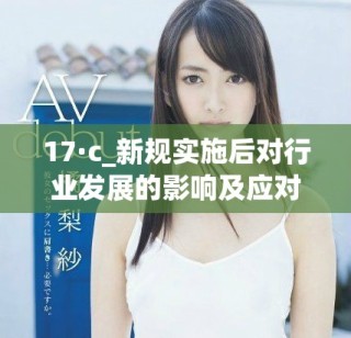 17·c_新規實施后對行業發展的影響及應對策略分析