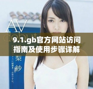 9.1.gb官方網(wǎng)站訪問指南及使用步驟詳解