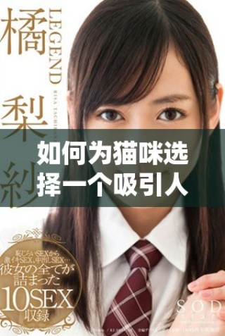 如何為貓咪選擇一個吸引人的獨特地域網(wǎng)名