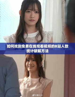 如何找到免費在線觀看視頻的B站人數(shù)統(tǒng)計破解方法