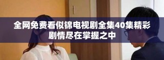全網免費看似錦電視劇全集40集精彩劇情盡在掌握之中