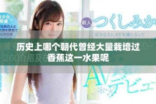 歷史上哪個朝代曾經大量栽培過香蕉這一水果呢