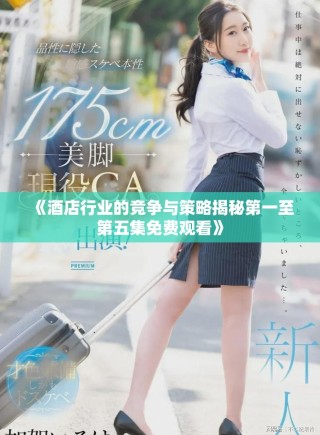 《酒店行業的競爭與策略揭秘第一至第五集免費觀看》