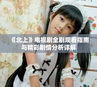 《北上》電視劇全劇觀看指南與精彩劇情分析詳解