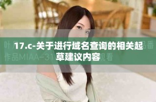 17.c-關(guān)于進(jìn)行域名查詢的相關(guān)起草建議內(nèi)容