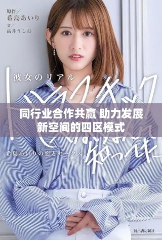 同行業合作共贏 助力發展新空間的四區模式