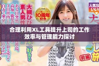 合理利用XL工具提升上司的工作效率與管理能力探討