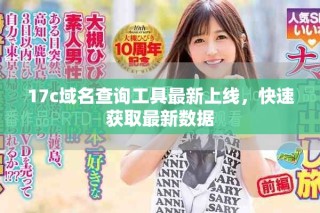17c域名查詢工具最新上線，快速獲取最新數(shù)據(jù)