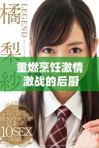 重燃烹飪激情 激戰的后廚2完整版精彩回顧與劇情分析