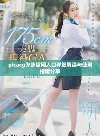 picacg嗶咔官網入口詳細解讀與使用指南分享