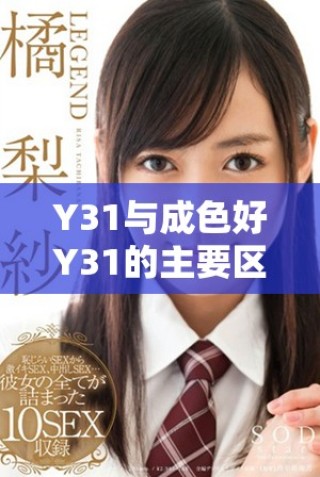 Y31與成色好Y31的主要區(qū)別分析與性能對(duì)比探討