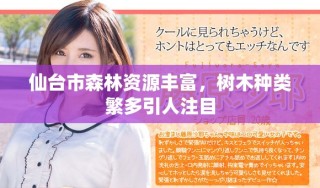 仙臺市森林資源豐富，樹木種類繁多引人注目