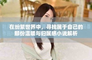 在紛繁世界中，尋找屬于自己的那份溫暖與歸屬感小說(shuō)解析