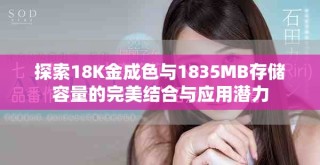 探索18K金成色與1835MB存儲容量的完美結合與應用潛力