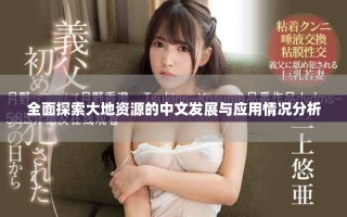 全面探索大地資源的中文發展與應用情況分析