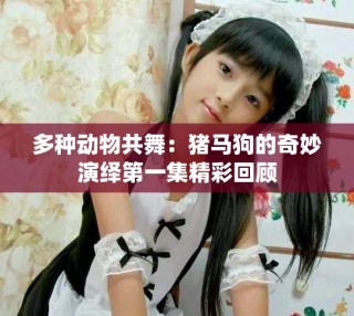 多種動物共舞：豬馬狗的奇妙演繹第一集精彩回顧