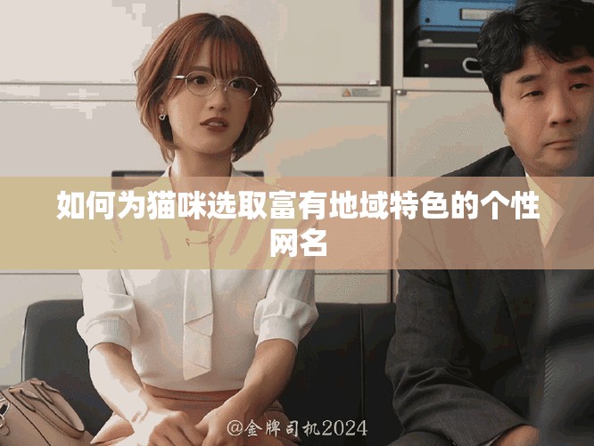 如何為貓咪選取富有地域特色的個性網名
