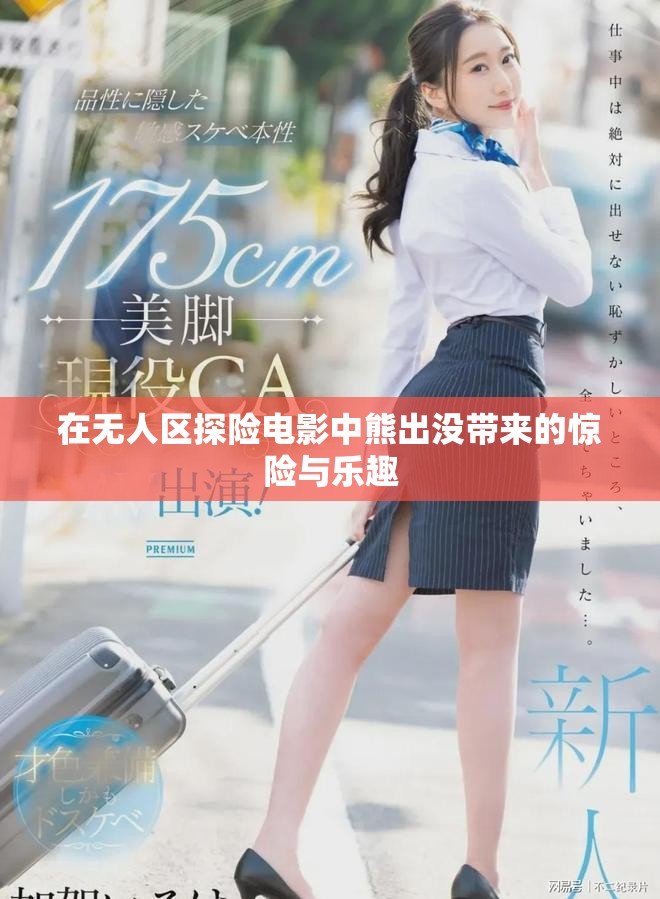 在無人區探險電影中熊出沒帶來的驚險與樂趣