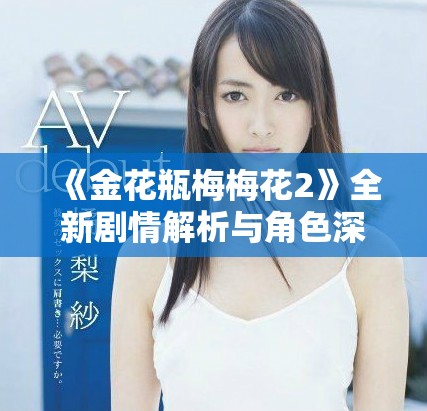 《金花瓶梅梅花2》全新劇情解析與角色深度剖析精彩呈現(xiàn)