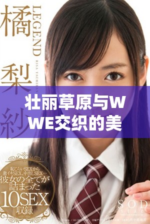 壯麗草原與WWE交織的美國大片經典主題旋律 壯麗草原與WWE交織的美國大片經典主題旋律