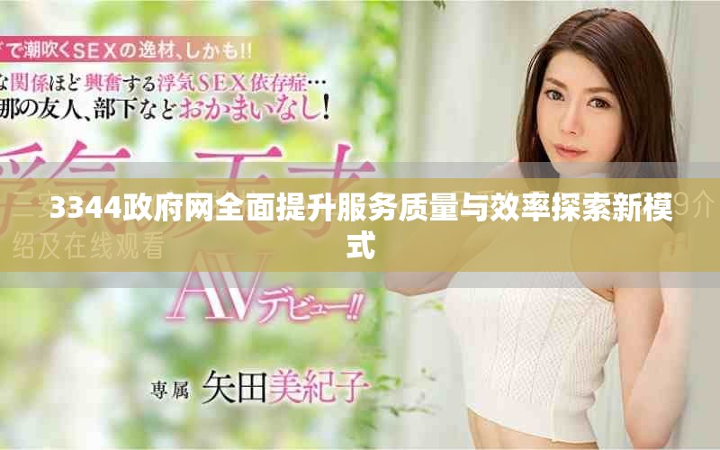 3344政府網(wǎng)全面提升服務(wù)質(zhì)量與效率探索新模式
