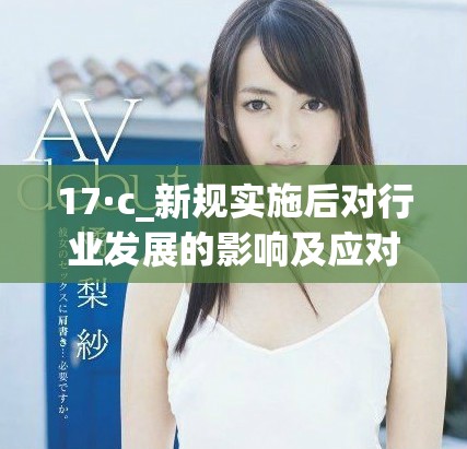 17·c_新規實施后對行業發展的影響及應對策略分析