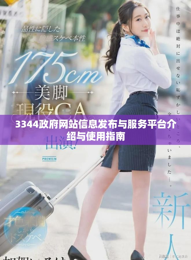 3344政府網站信息發布與服務平臺介紹與使用指南