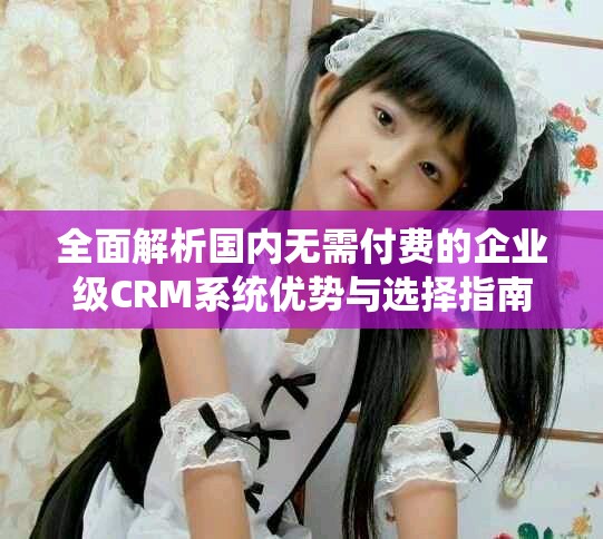 全面解析國內無需付費的企業級CRM系統優勢與選擇指南