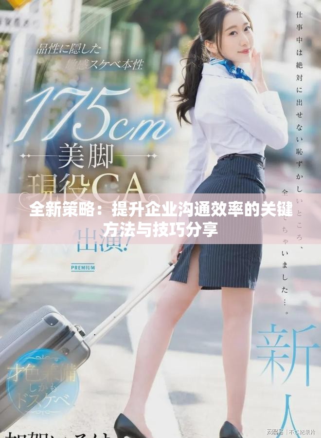全新策略：提升企業(yè)溝通效率的關(guān)鍵方法與技巧分享