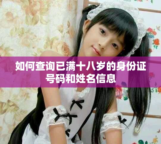 如何查詢已滿十八歲的身份證號碼和姓名信息