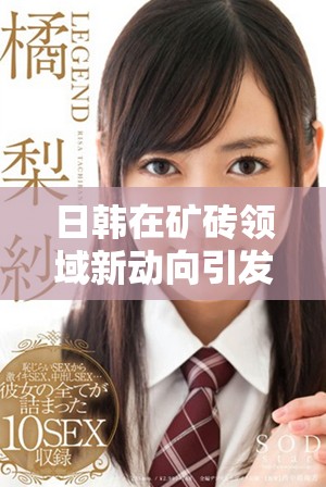 日韓在礦磚領域新動向引發行業關注與討論 日韓在礦磚領域新動向引發行業關注與討論