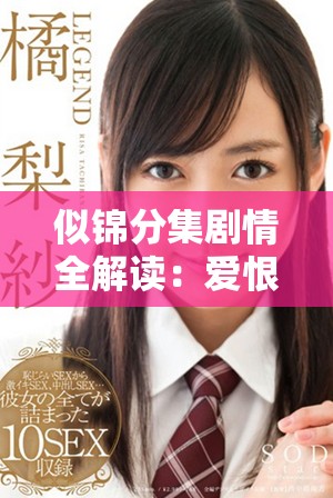 似錦分集劇情全解讀：愛恨交織與命運交錯的浪漫故事