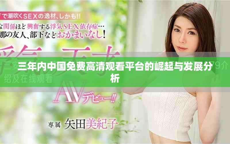 三年內中國免費高清觀看平臺的崛起與發展分析 三年內中國免費高清觀看平臺的崛起與發展分析