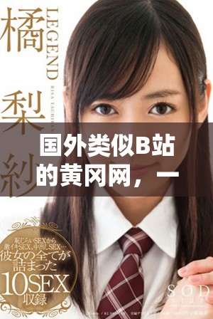 國外類似B站的黃岡網,一起來了解其特色與優勢吧! 國外類似B站的黃岡網,一起來了解其特色與優勢吧!