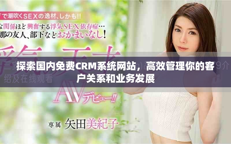 探索國(guó)內(nèi)免費(fèi)CRM系統(tǒng)網(wǎng)站，高效管理你的客戶關(guān)系和業(yè)務(wù)發(fā)展