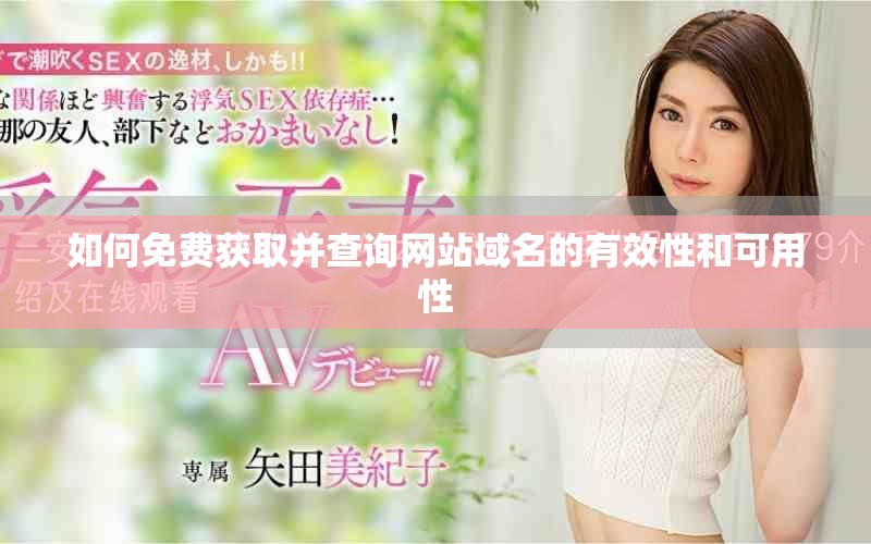 如何免費獲取并查詢網站域名的有效性和可用性