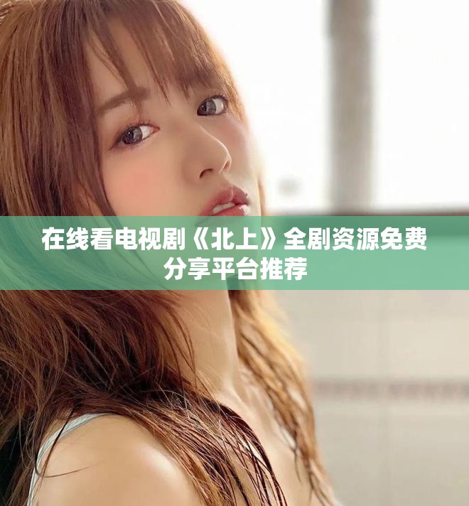 在線看電視劇《北上》全劇資源免費分享平臺推薦