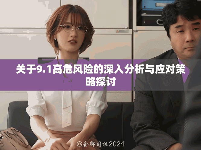 關于9.1高危風險的深入分析與應對策略探討