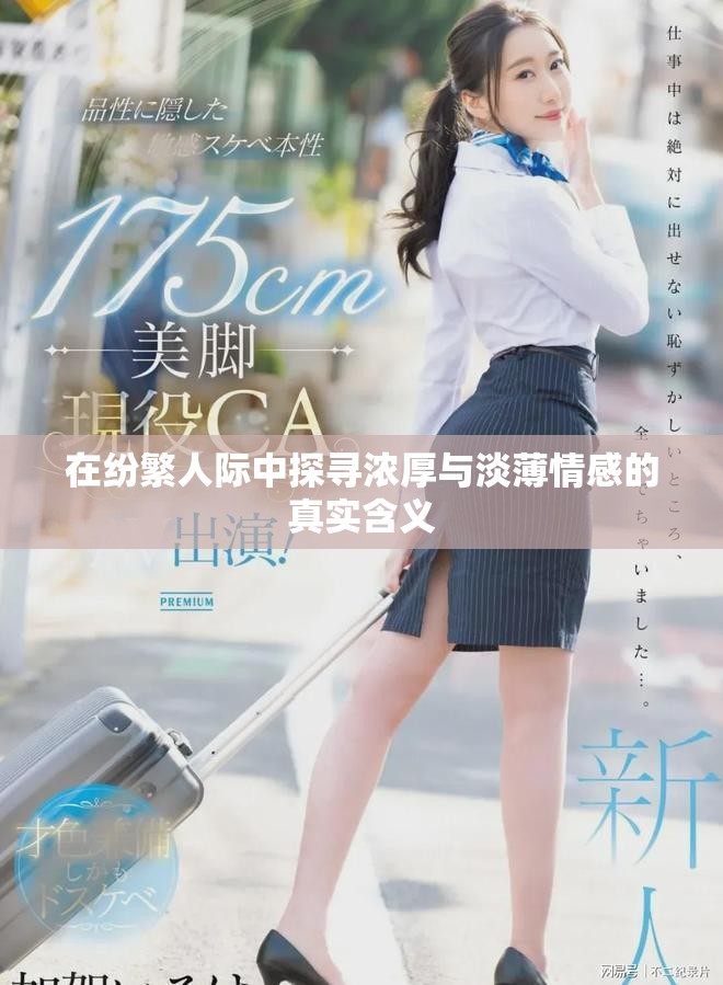 在紛繁人際中探尋濃厚與淡薄情感的真實(shí)含義