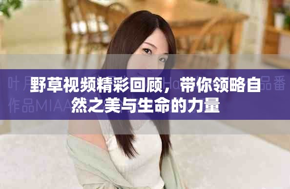 野草視頻精彩回顧,帶你領略自然之美與生命的力量 野草視頻精彩回顧,帶你領略自然之美與生命的力量