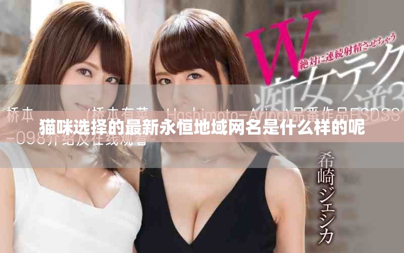 貓咪選擇的最新永恒地域網名是什么樣的呢 貓咪選擇的最新永恒地域網名是什么樣的呢